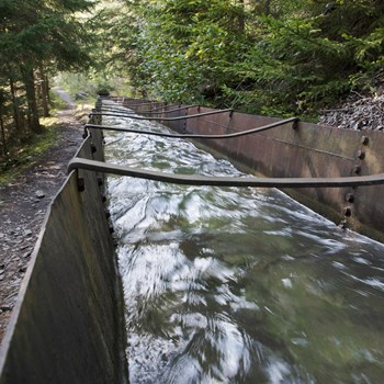 Bisse Dayent Photo Pierre Armand Dussex