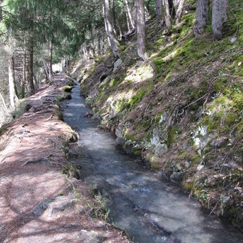 Bisse De Lentine Photo Armand Dussex